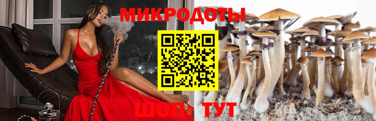 Галлюциногенные грибы GOLDEN TEACHER  Псилоцибиновые грибы мухоморы  Вход с VPN  Избербаш 